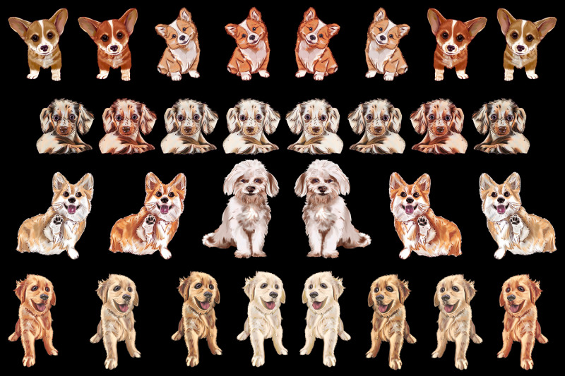 dog-clipart-set-dogs-clipart-png-maltese-grooming-corgi-dachshun