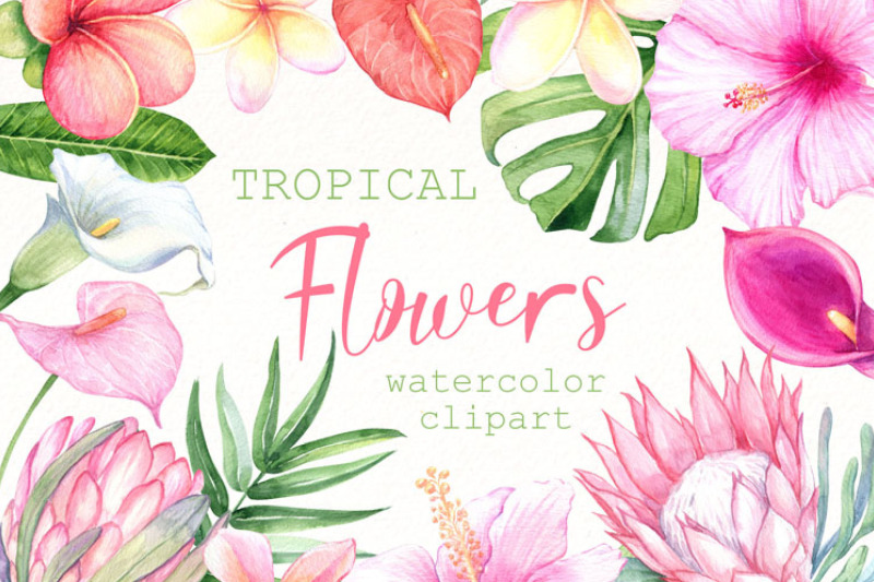 watercolor-tropical-flowers-clipart-exotic-floral-png