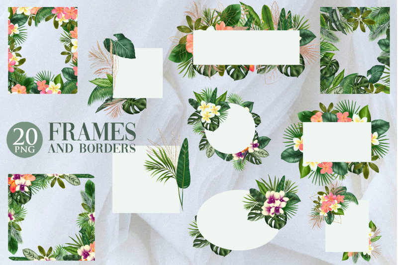 tropical-frames
