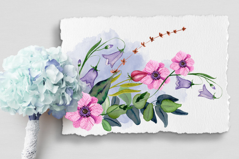 wild-flowers-watercolor-wildflowers-collection