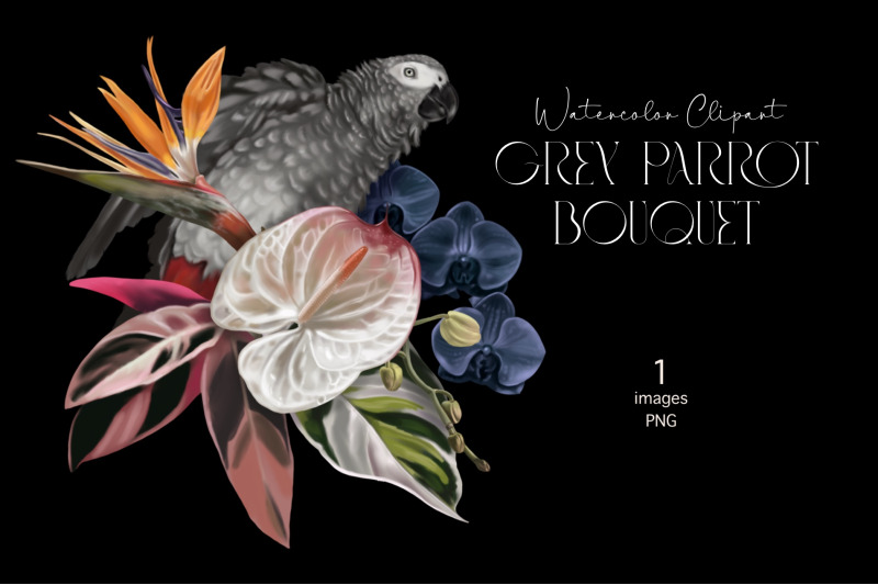 grey-parrot-bouquet-watercolor-birds-clipart-sublimation-bouquet