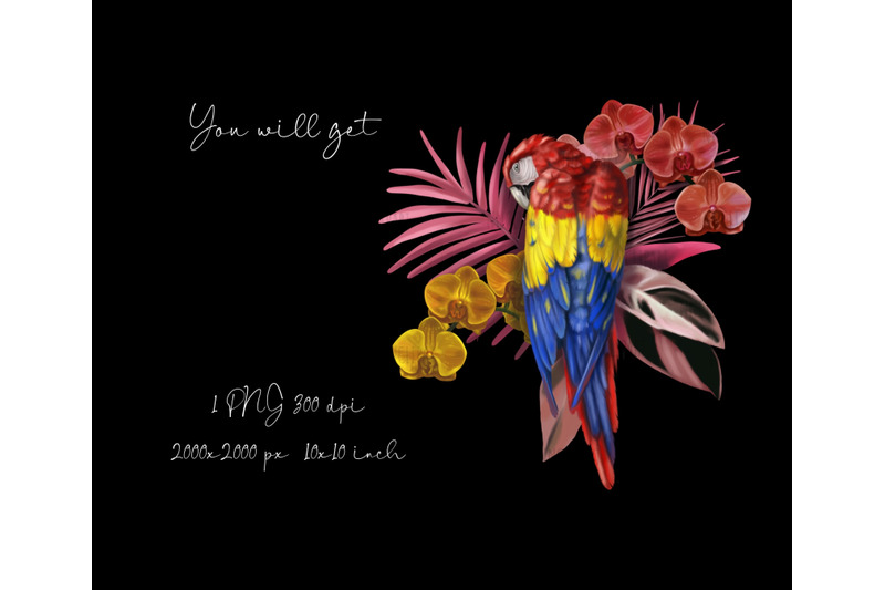 scarlet-macaw-watercolor-birds-clipart-sublimation-bouquet