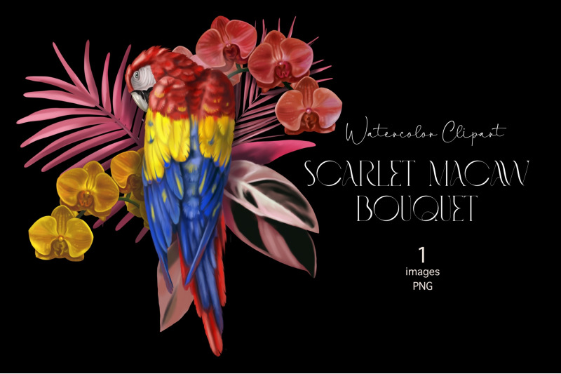 scarlet-macaw-watercolor-birds-clipart-sublimation-bouquet