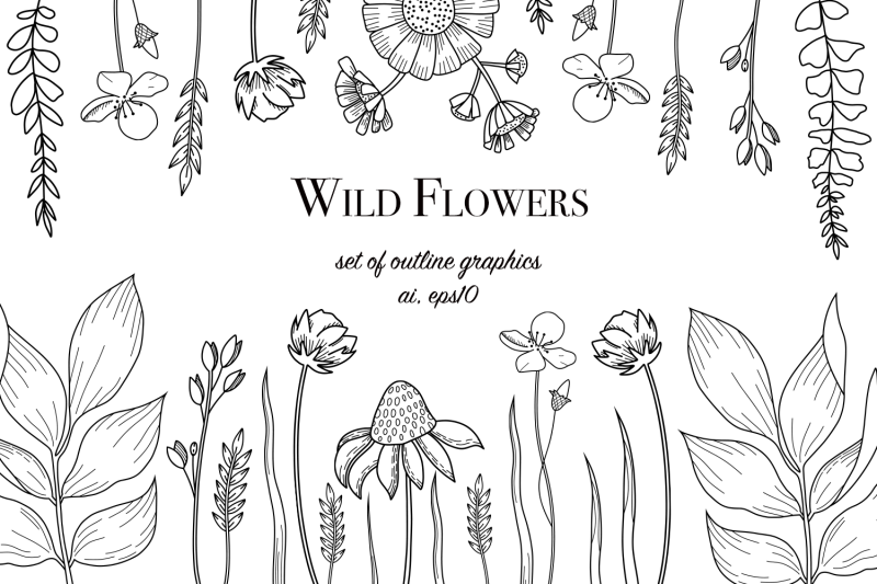 wild-flowers-set-of-outline-elements-ai-eps10