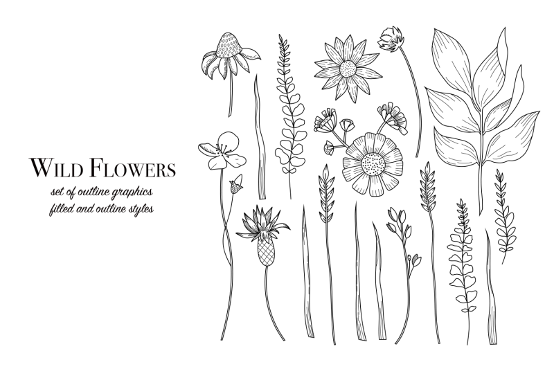 wild-flowers-set-of-outline-elements-ai-eps10