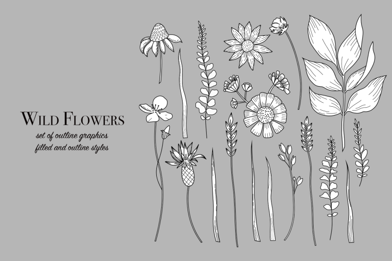 wild-flowers-set-of-outline-elements-ai-eps10