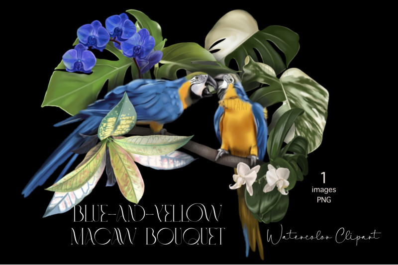 blue-and-yellow-macaw-watercolor-birds-clipart-sublimation-bouquet