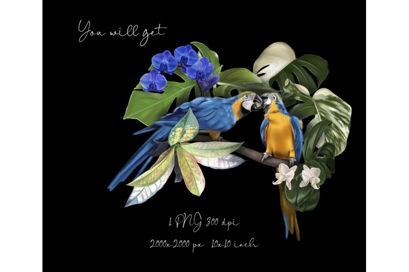 blue-and-yellow-macaw-watercolor-birds-clipart-sublimation-bouquet