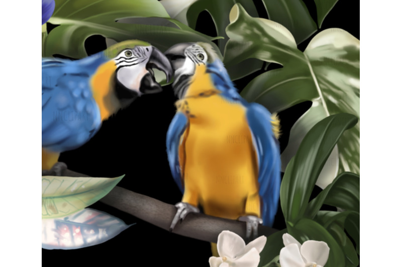 blue-and-yellow-macaw-watercolor-birds-clipart-sublimation-bouquet