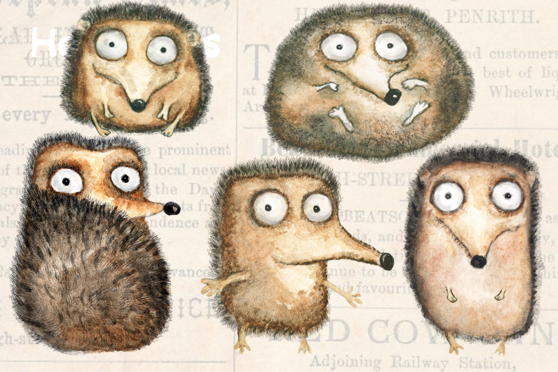 funny-watercolor-hedgehogs