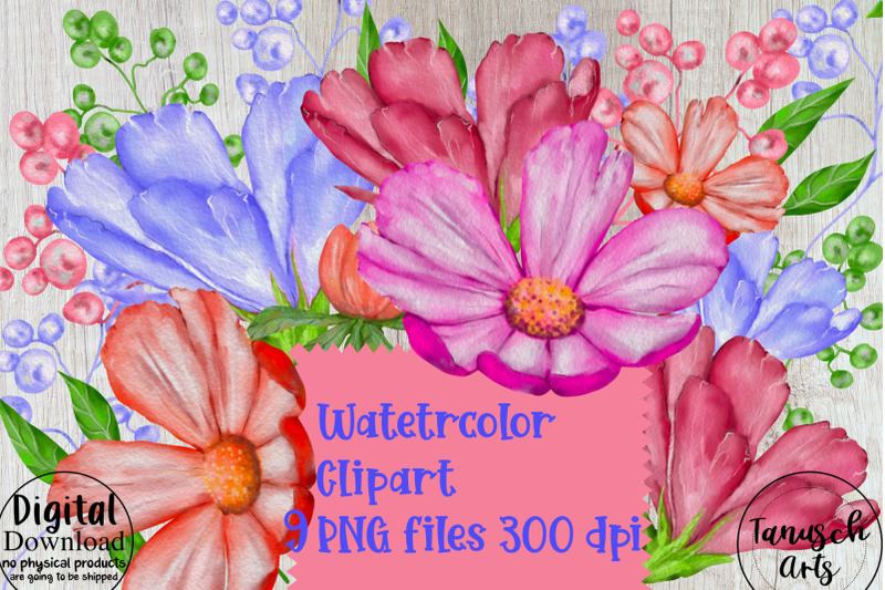 watercolor-meadow-flowers-clipart