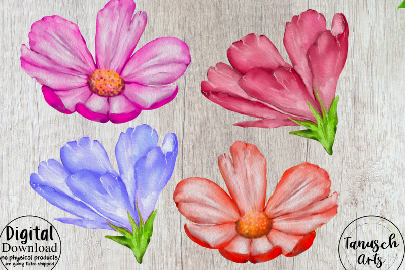 watercolor-meadow-flowers-clipart