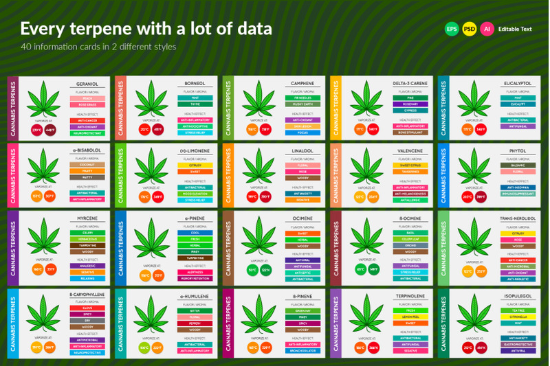 cannabis-terpenes-information-charts
