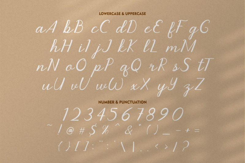 graciola-display-script-font