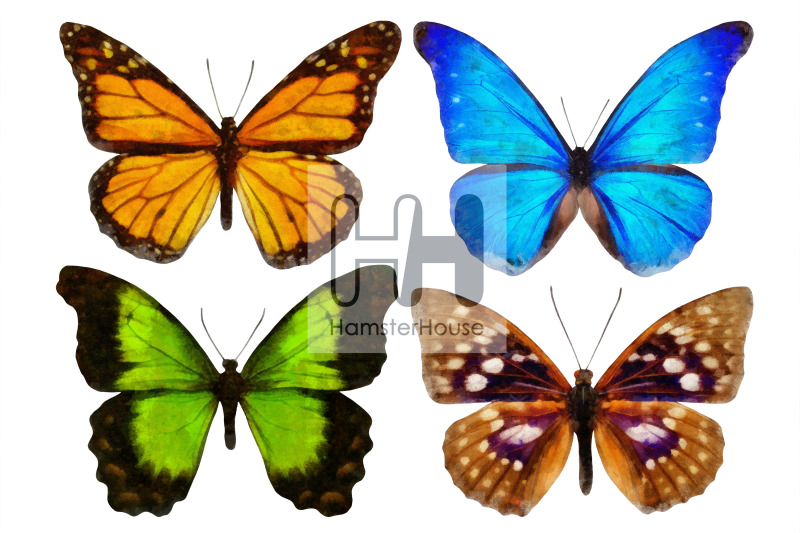 watercolor-butterflies-10-transparent-png