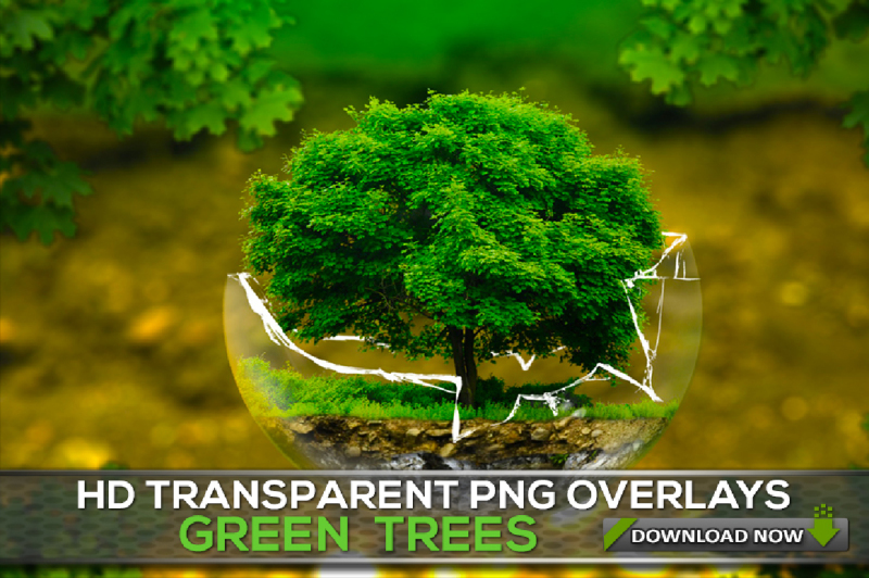 50-transparent-png-green-trees-overlays