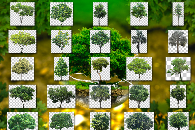 50-transparent-png-green-trees-overlays