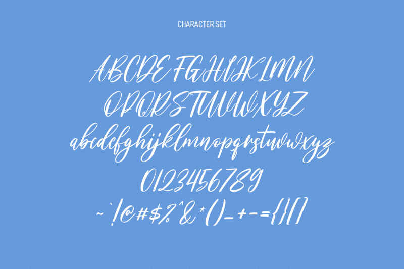 willoves-script-font