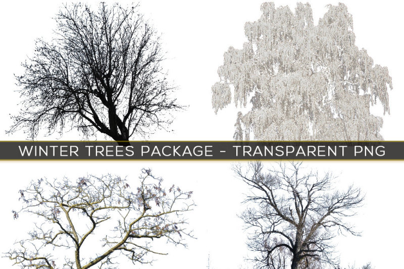 30-transparent-png-winter-trees-in-snow-overlays