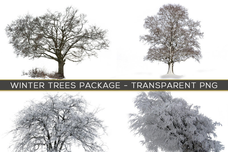30-transparent-png-winter-trees-in-snow-overlays
