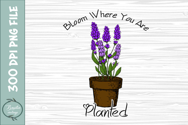 bloom-where-you-are-planted-floral