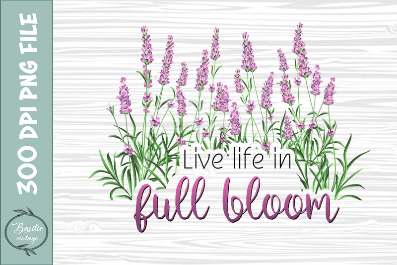 live-life-in-full-bloom-lavender-png