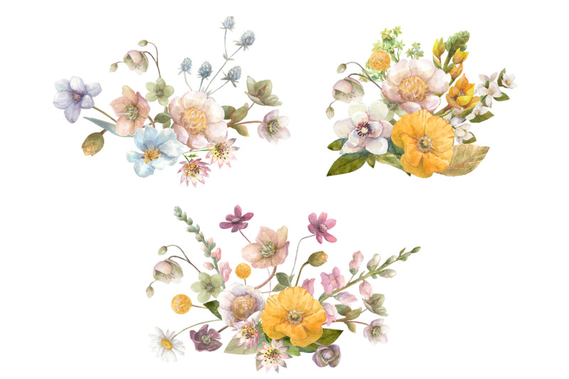 watercolor-wild-summer-flowers-clipart