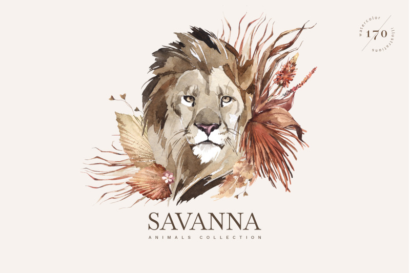 quot-savanna-quot-watercolor-animal-set
