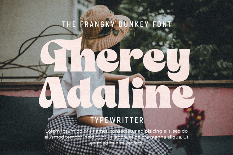 the-franky-dunkey