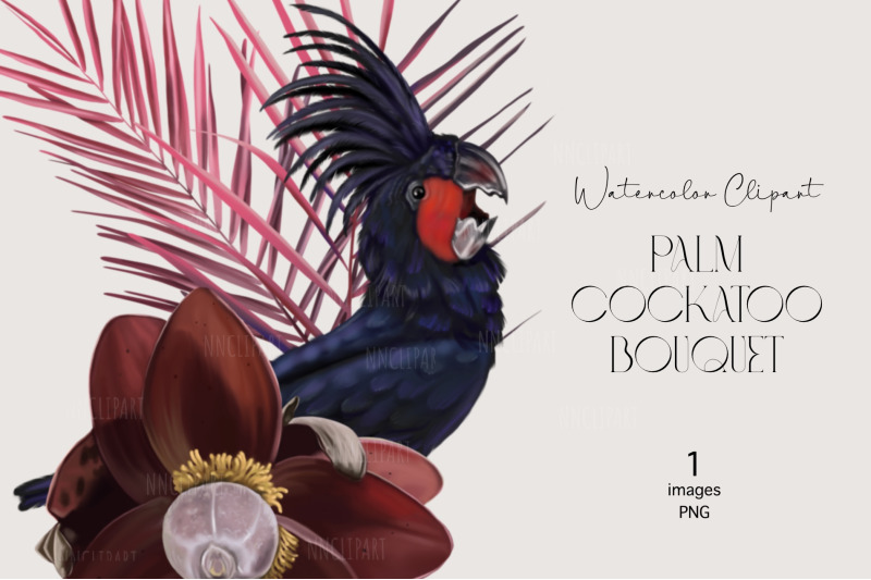 palm-cockatoo-parrot-watercolor-bouquet-clipart
