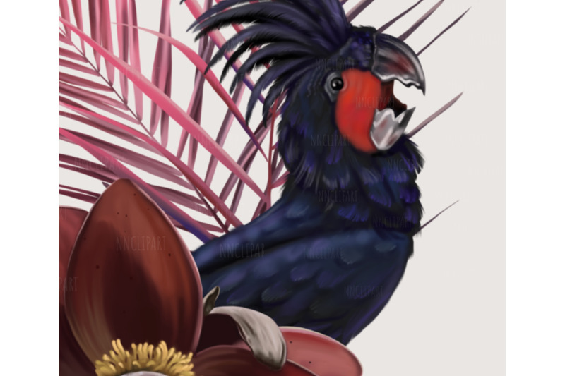 palm-cockatoo-parrot-watercolor-bouquet-clipart