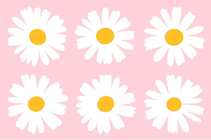 daisy-flowers-clipart-daisy-sublimation-daisy-botanical