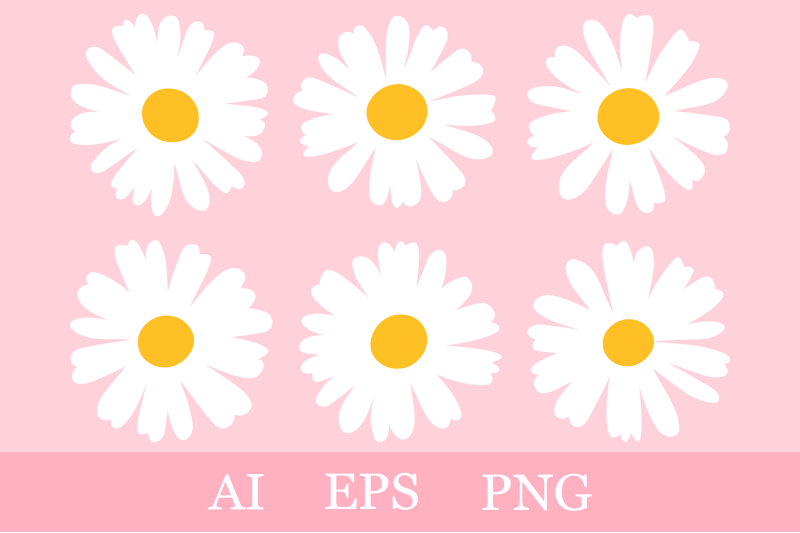 daisy-flowers-clipart-daisy-sublimation-daisy-botanical