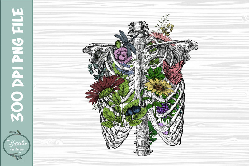 Anatomical Skeleton Floral Sublimation By Pecgine | TheHungryJPEG
