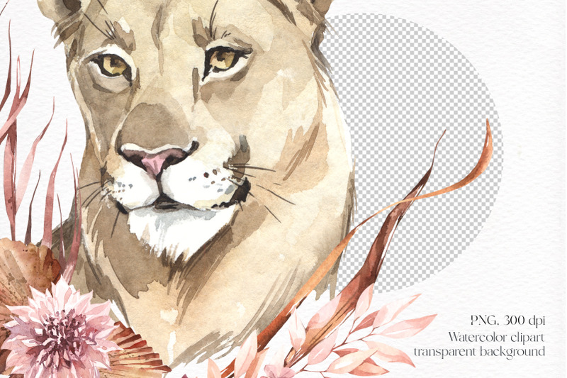 savanna-wild-cats-with-dried-leaves-watercolor-png-clipart