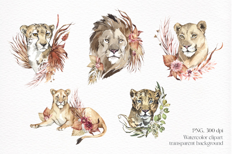 savanna-wild-cats-with-dried-leaves-watercolor-png-clipart
