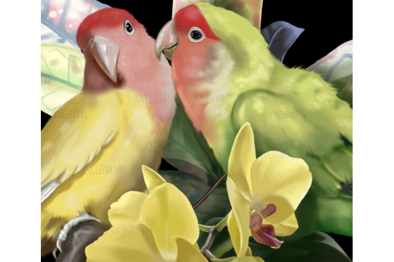 lovebird-parrot-watercolor-bouquet-clipart