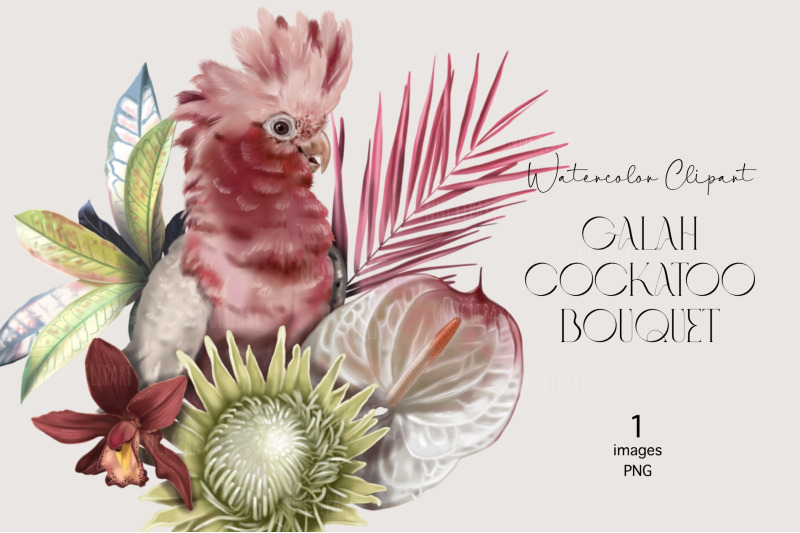 galah-cockatoo-parrot-watercolor-bouquet-clipart