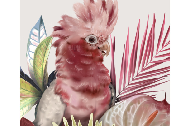 galah-cockatoo-parrot-watercolor-bouquet-clipart