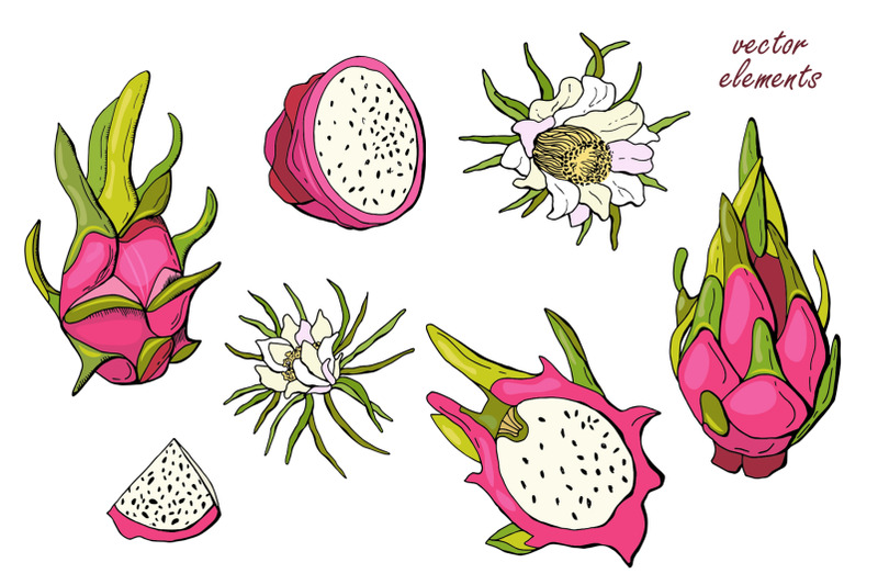 pitahaya-dragon-fruit-svg