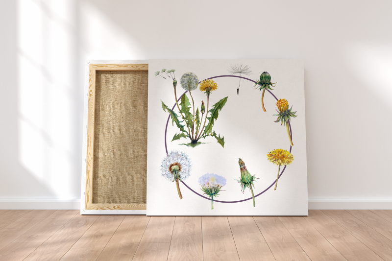 watercolor-dandelion-life-cycle-set