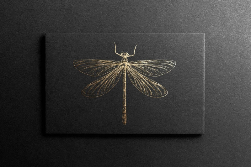 gold-dragonfly-clipart
