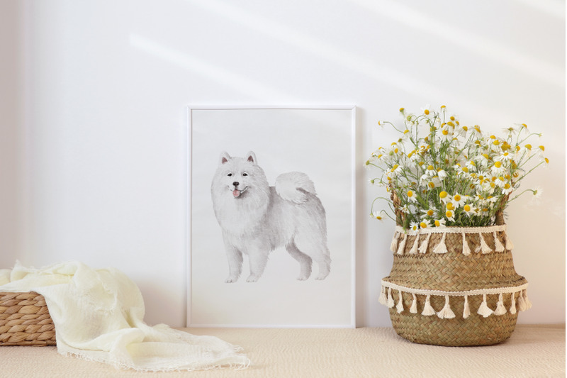 samoyed-dogs-clipart-bundle