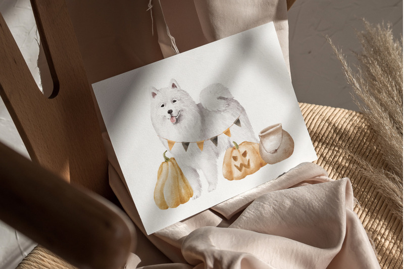 samoyed-dogs-clipart-bundle