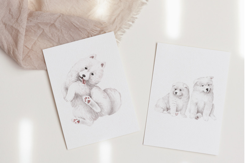 samoyed-dogs-clipart-bundle