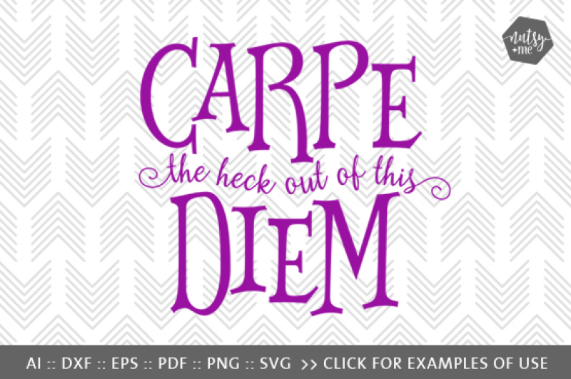carpe-the-heck-out-of-this-diem-svg-png-and-vector-cut-file