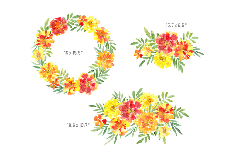watercolor-marigold-flowers