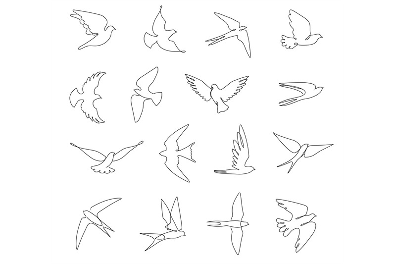 continuous-line-birds-flying-swallow-doves-and-abstract-bird-with-ou