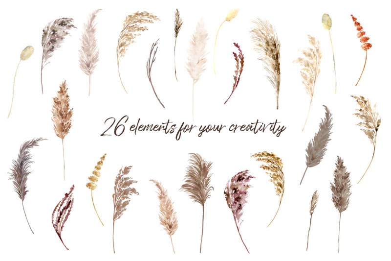 pampas-grass-boho-floral-collection