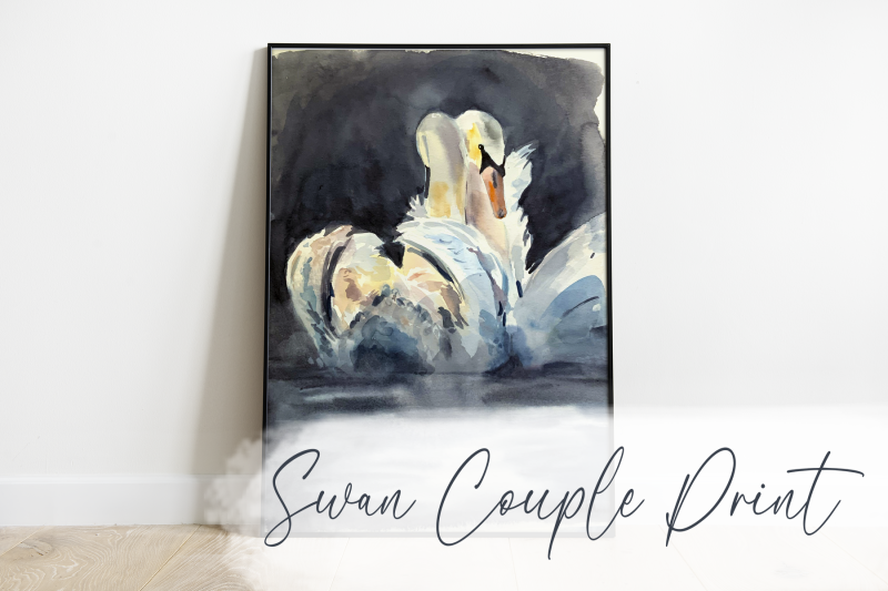 watercolour-swan-couple-print